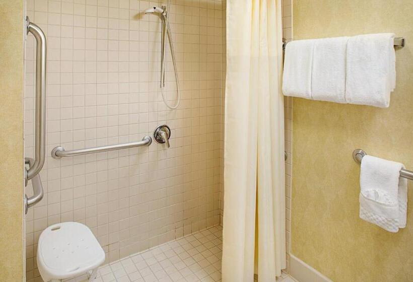 Студия Стандарт, Residence Inn Houstonwest University