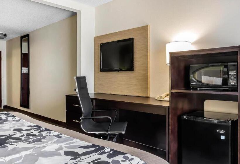 스탠다드 룸 킹사이즈 침대, Sleep Inn & Suites Dothan North