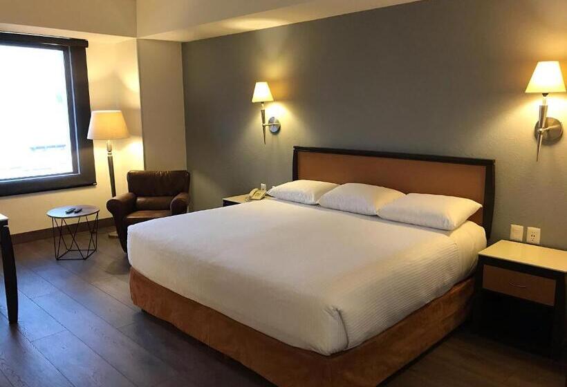 חדר סטנדרט עם מיטת קינג, Turotel Morelia