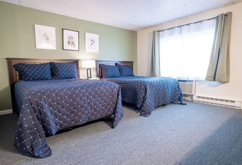 Standart Oda, Acadia Pines Motel