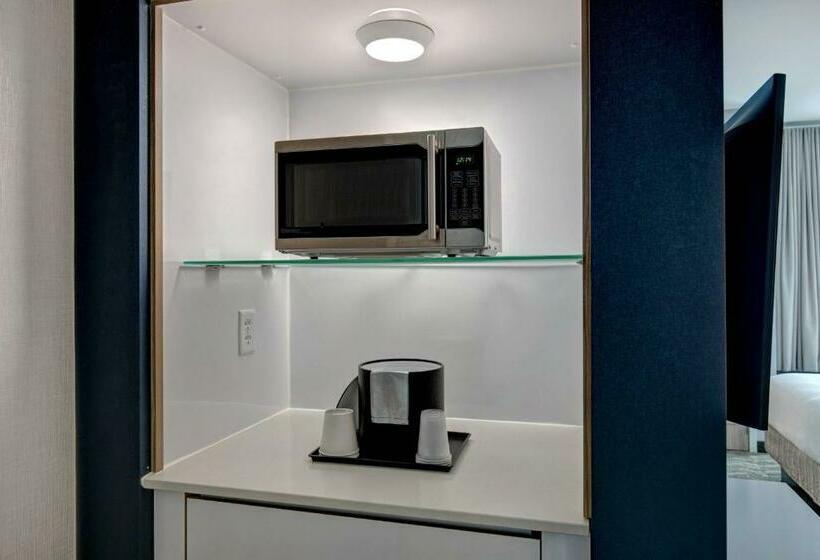 Люкс Кровать Кинг, Springhill Suites By Marriott Orangeburg