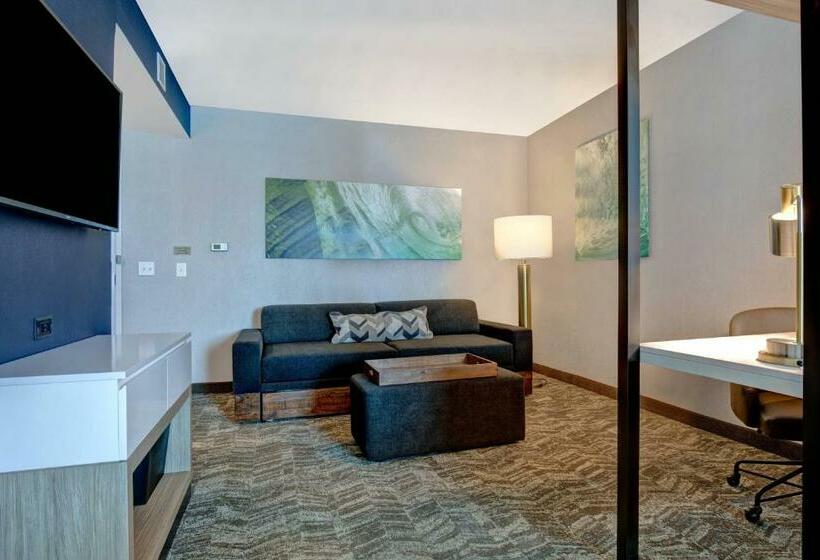 Люкс Кровать Кинг, Springhill Suites By Marriott Orangeburg