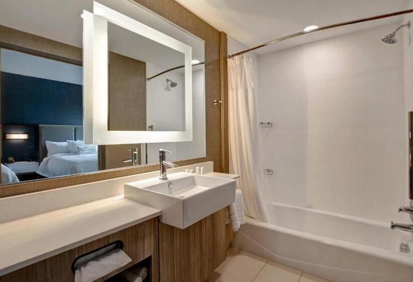 Люкс Адаптированный для Инвалидов, Springhill Suites By Marriott Orangeburg