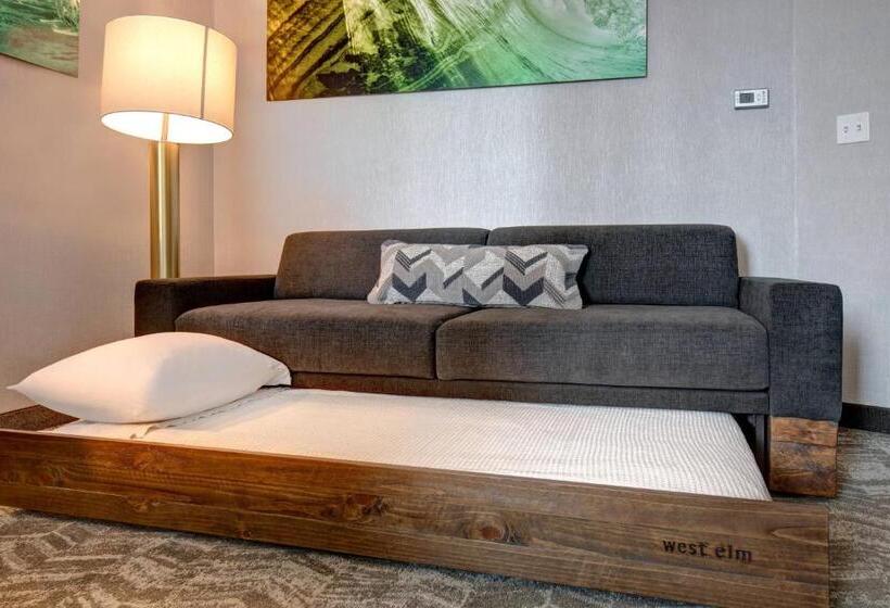 Люкс Адаптированный для Инвалидов, Springhill Suites By Marriott Orangeburg