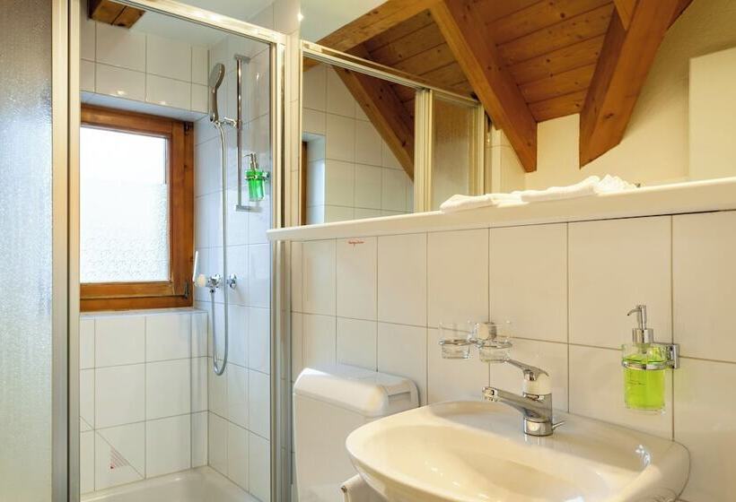 Полулюкс, Landhotel Hirschen Swiss Quality