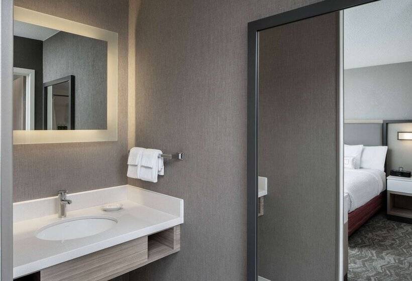 Suite, Sonesta Select Nashville Airport Suites
