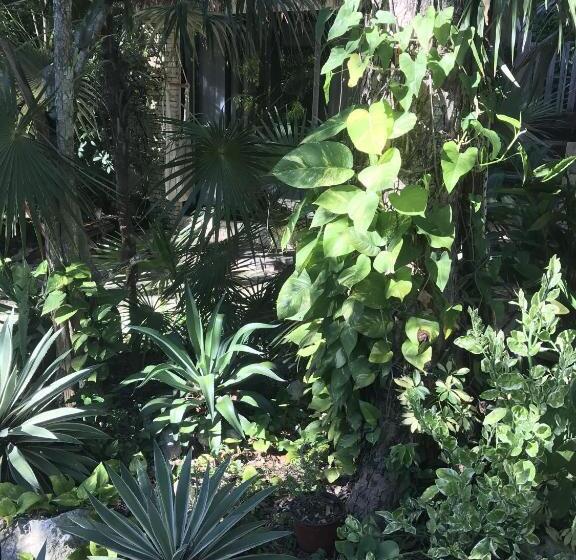 غرفة قياسية مطلّة علي الحديقة, Verdeamar Eco Lodge Jungle Retreat