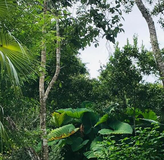 غرفة ديلوكس مزودة بشرفة, Verdeamar Eco Lodge Jungle Retreat