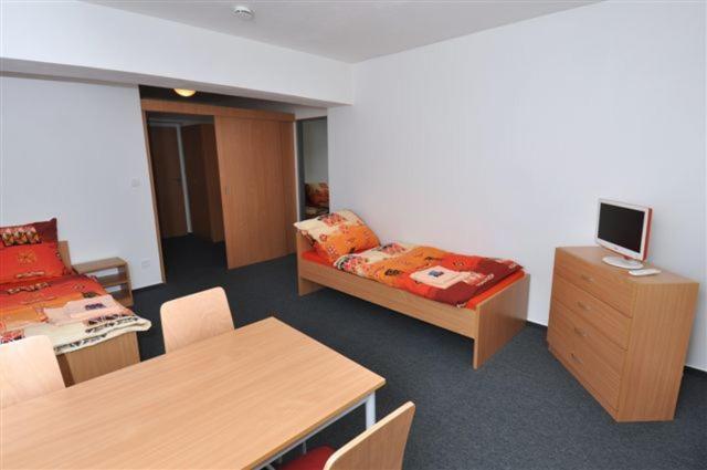 Номер Стандарт Трехместный, Sport Hotel Ticha Orlice