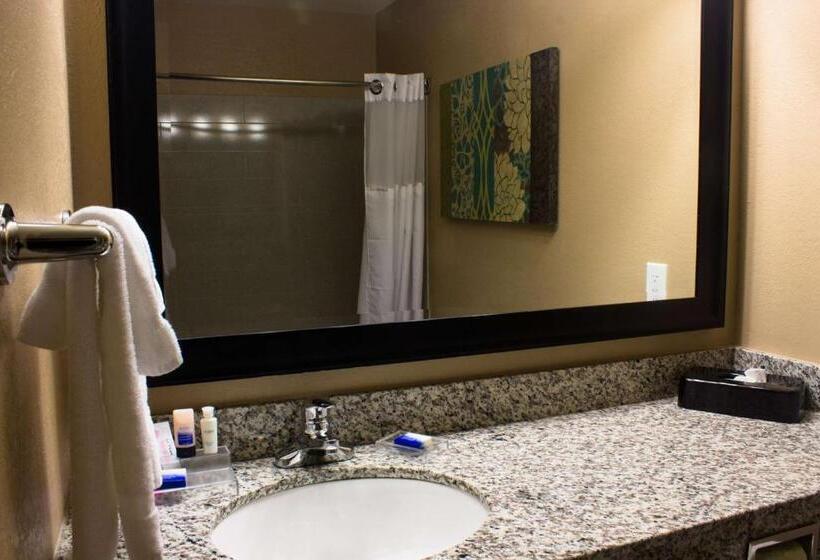חדר דלוקס עם מיטת קינג, Best Western Plus Menomonie Inn & Suites