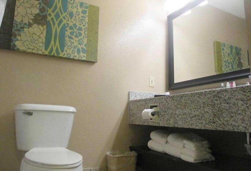 סטודיו סטנדרט, מיטה זוגית, Best Western Plus Menomonie Inn & Suites