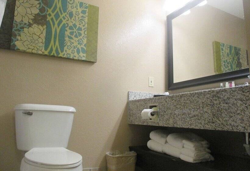 סטודיו סטנדרט, מיטה זוגית, Best Western Plus Menomonie Inn & Suites