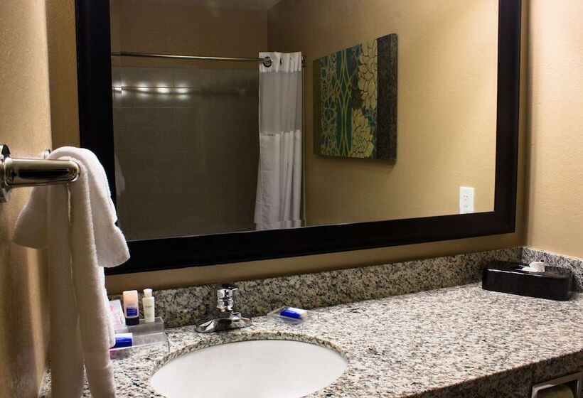Студио Стандарт Кровать Кинг, Best Western Plus Menomonie Inn & Suites