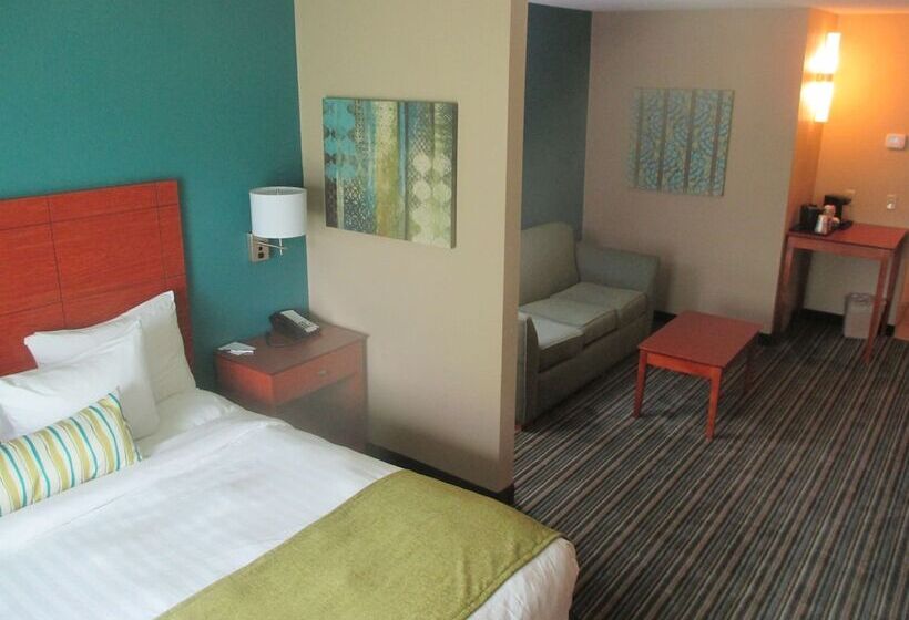 סטודיו סטנדרט, מיטה זוגית, Best Western Plus Menomonie Inn & Suites