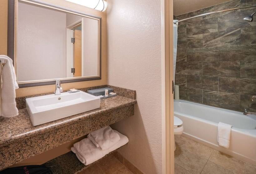Люкс Вид на Реку, Best Western Plus Riverfront Hotel And Suites