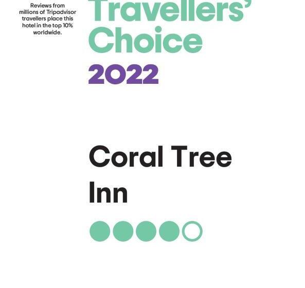 스탠다드 룸, Coral Tree Inn