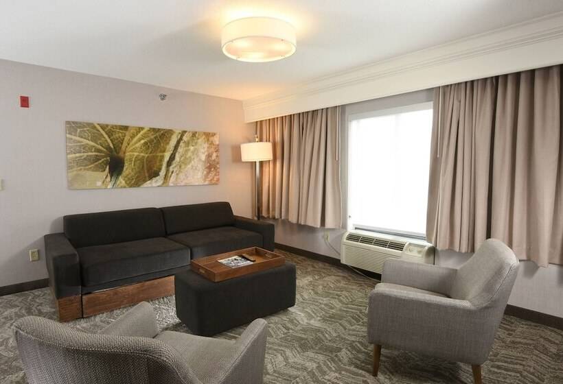 Люкс Адаптированный для Инвалидов, Springhill Suites Des Moines West