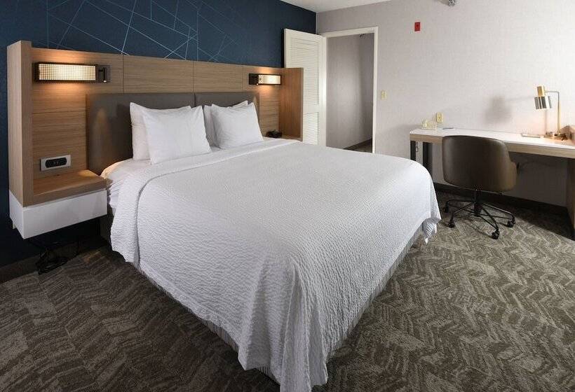 Люкс Адаптированный для Инвалидов, Springhill Suites Des Moines West