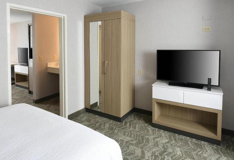 Люкс Кровать Квин, Springhill Suites Des Moines West