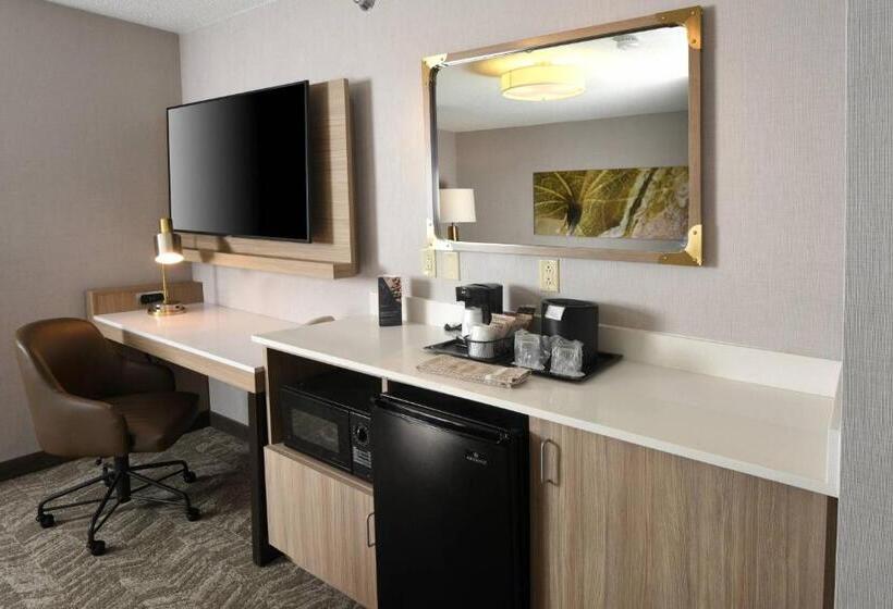 Люкс Адаптированный для Инвалидов, Springhill Suites Des Moines West