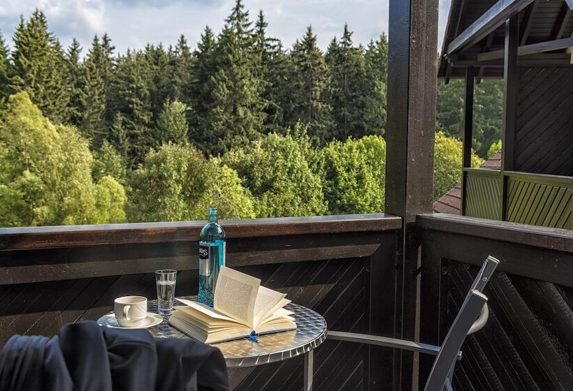 Номер Стандарт, Relexa Hotel Harz Wald Braunlage Gmbh