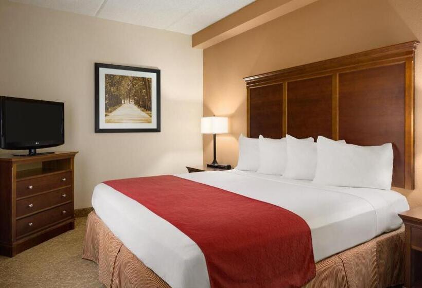带大床的标准间, Country Inn & Suites By Radisson, Anderson, Sc