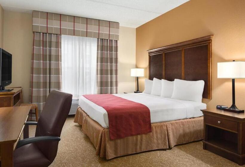 带大床的套房, Country Inn & Suites By Radisson, Anderson, Sc