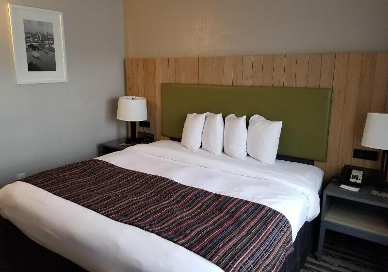 Pokój Standard Łóżko King Size, Country Inn & Suites By Radisson, Nashville Airport East, Tn