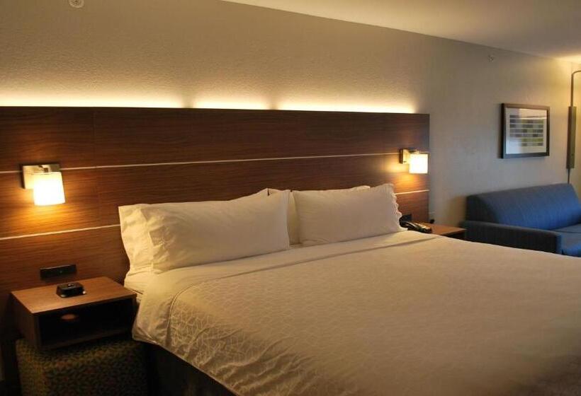 Habitació Estàndard Llit King Adaptada per a persones amb mobilitat reduïda, Holiday Inn Express & Suites Indianapolis North   Carmel, An Ihg