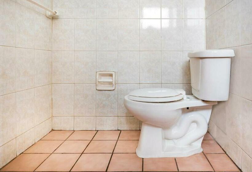 4 Bett Standardzimmer, Capital O Colón, Ciudad Guzmán Jalisco