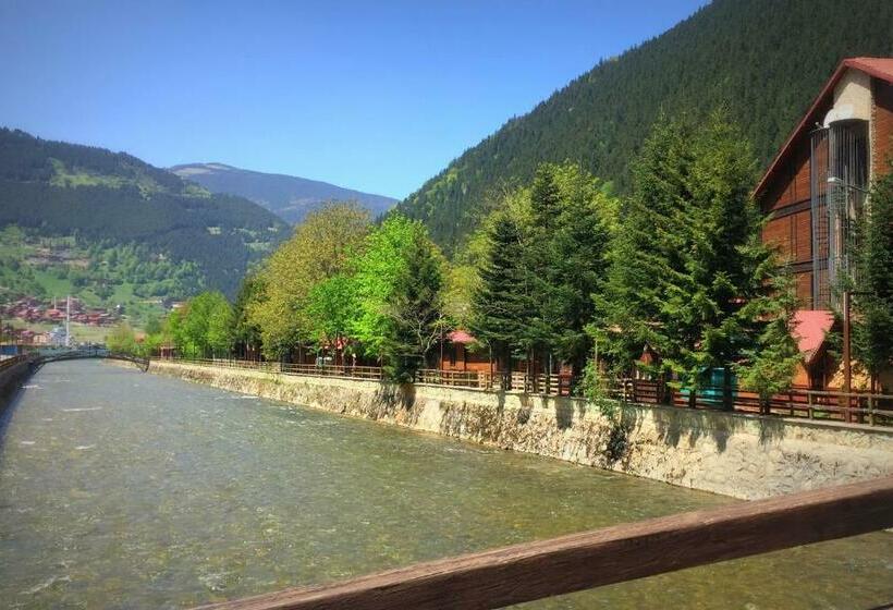 Номер Стандарт Трехместный, Inanlar Garden Hotel & Bungalow