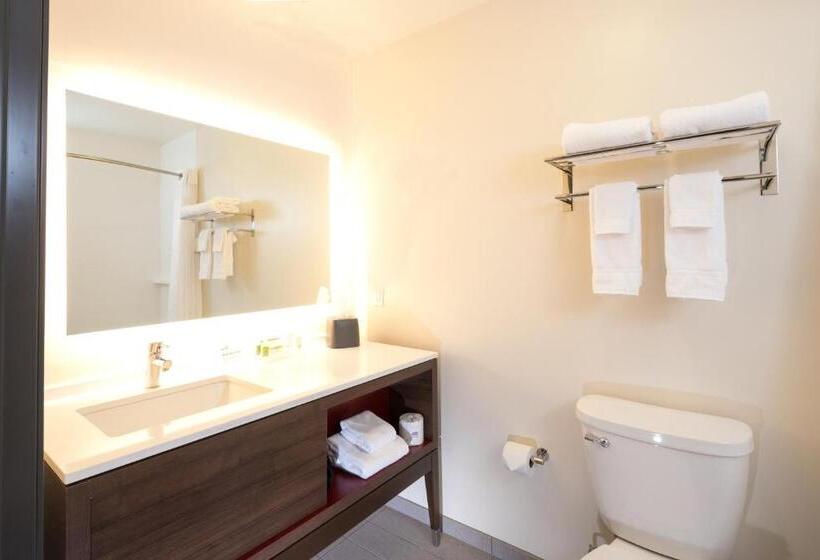 Люкс Кровать Кинг, Holiday Inn Hotel & Suites   Mount Pleasant, An Ihg