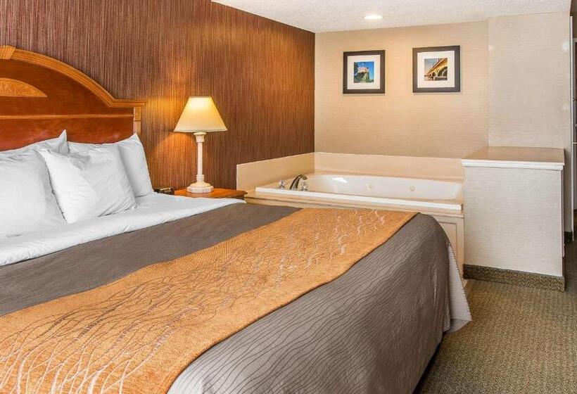 带大床的标准间, Comfort Inn