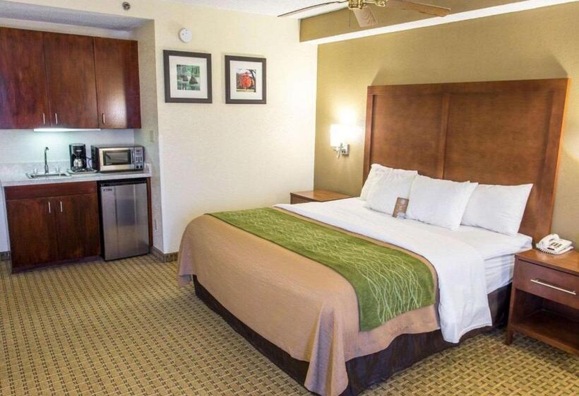 Полулюкс, Comfort Inn Hammond
