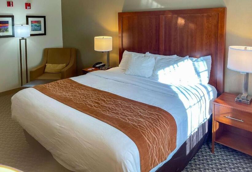 キングサイズベッドのスタンダードルーム, Comfort Inn & Suites Midtown