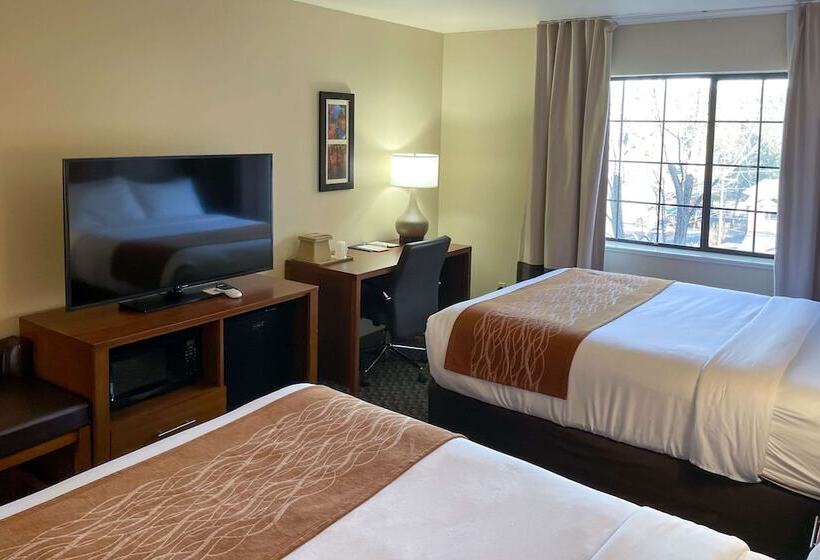 スイート, Comfort Inn & Suites Midtown
