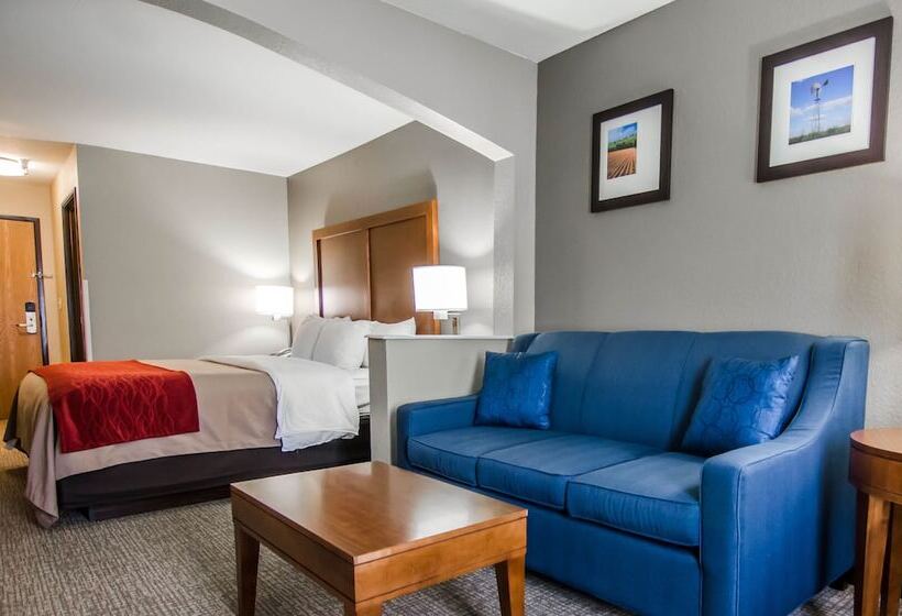 Люкс, Comfort Inn & Suites