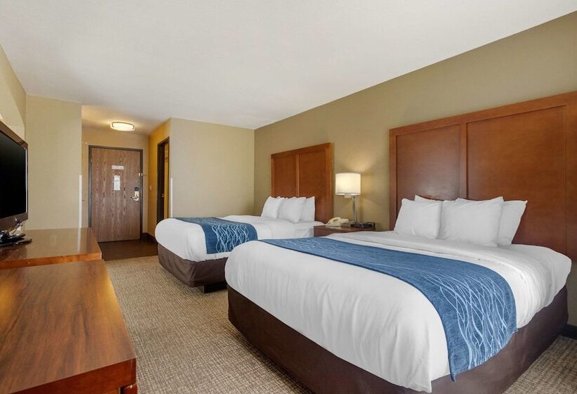 Люкс, Comfort Inn & Suites