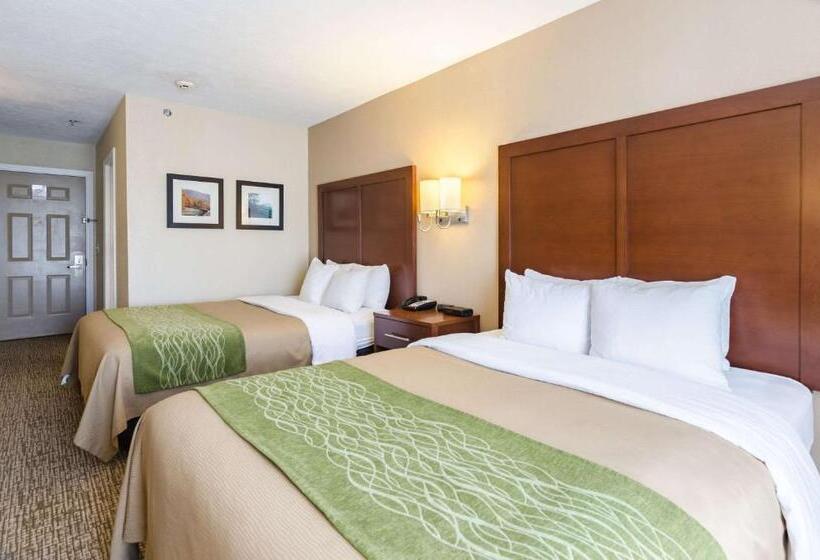 Номер Стандарт Адаптированный для Инвалидов, Comfort Inn  Wytheville Fort Chiswell
