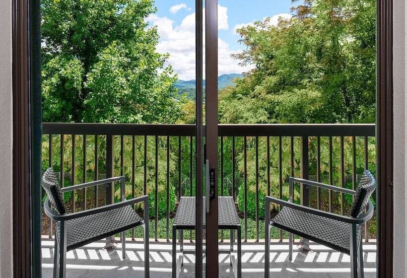 Номер Стандарт 2 Двуспальные Кровати, Courtyard Asheville