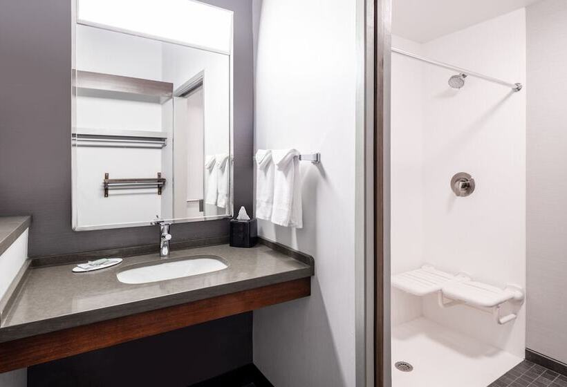 스탠다드 룸 더블 침대 2개, Courtyard By Marriott Denver Golden/red Rocks