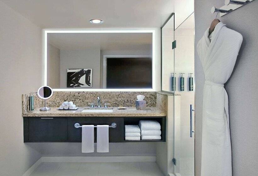 Номер Deluxe Адаптированный для Инвалидов, Hilton Omaha