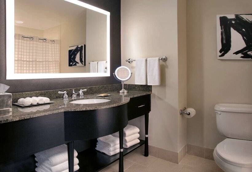 Номер Премиум, Hilton Omaha