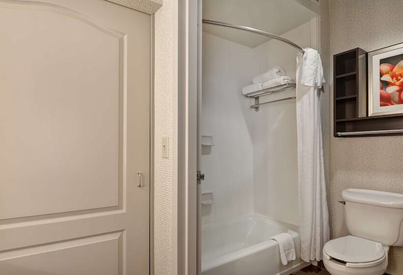스위트, Homewood Suites By Hilton Amarillo