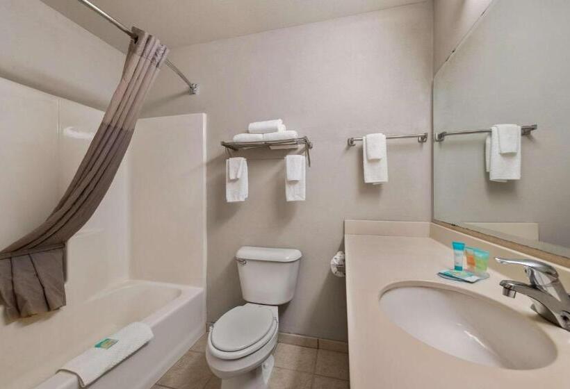스탠다드 룸, Rodeway Inn & Suites