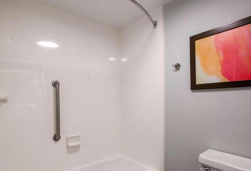带大床的标准间, Best Western Plus Lexington Inn