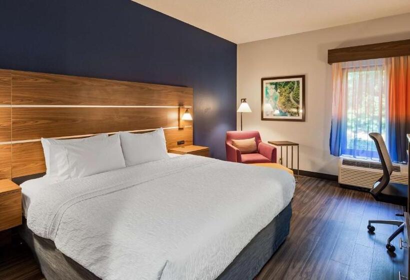 带大床的标准间, Best Western Plus Lexington Inn