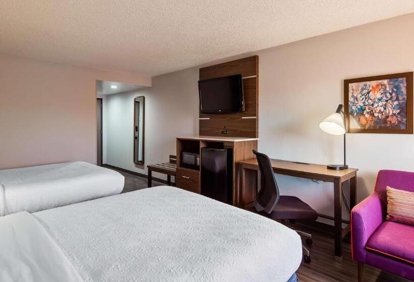标准间, Best Western Plus Lexington Inn