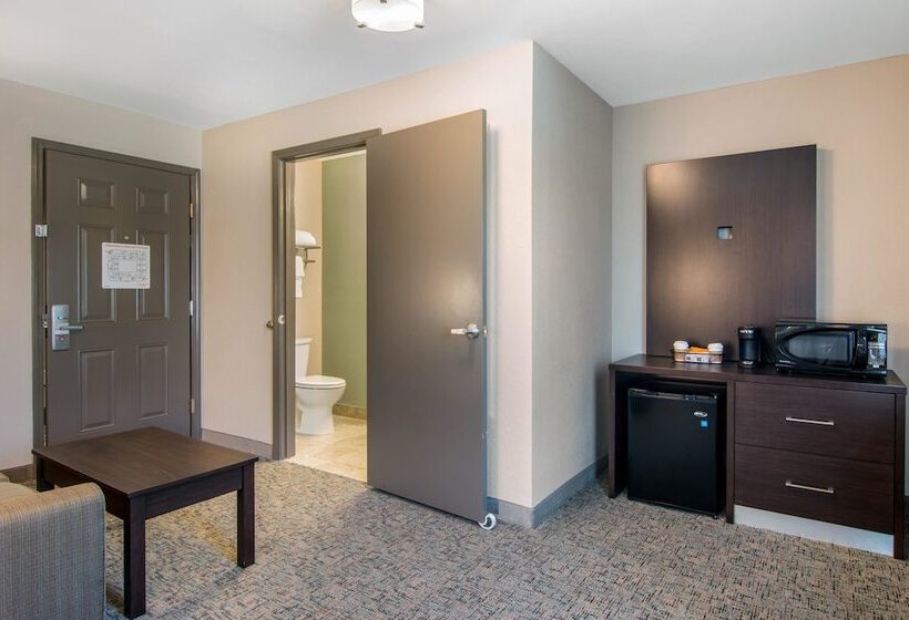 סוויטה, Clarion Inn & Suites Atlanta Downtown