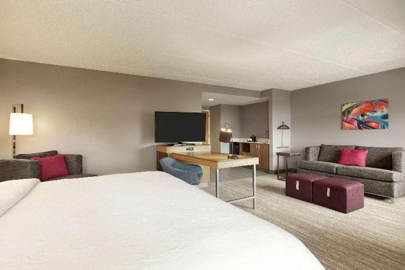 キングサイズベッドのスタンダードルーム, Hampton Inn Houston Brookhollow
